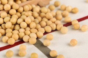 有机大豆如何施肥 有机大豆的施肥方法和技巧